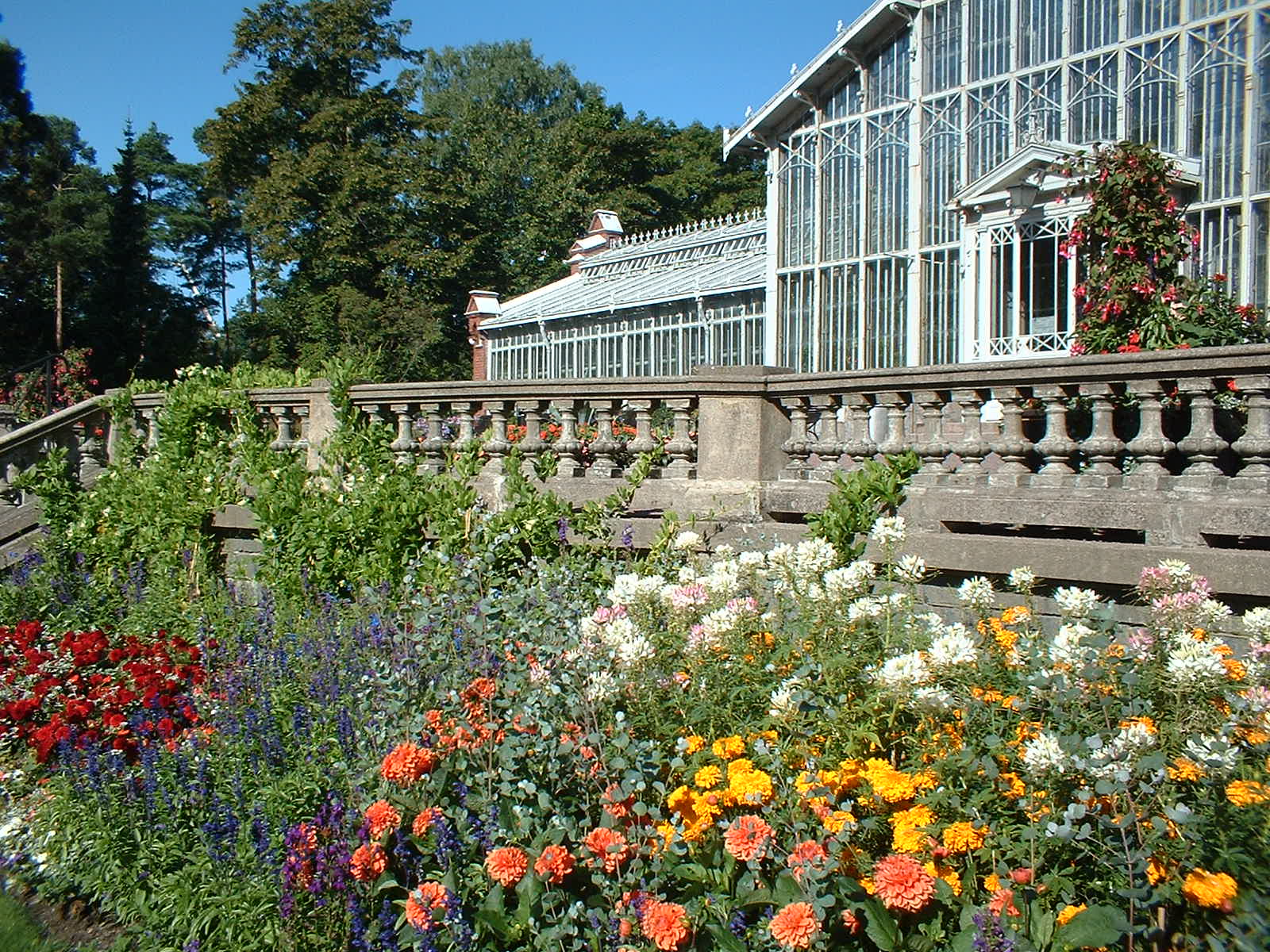 Helsinki garden