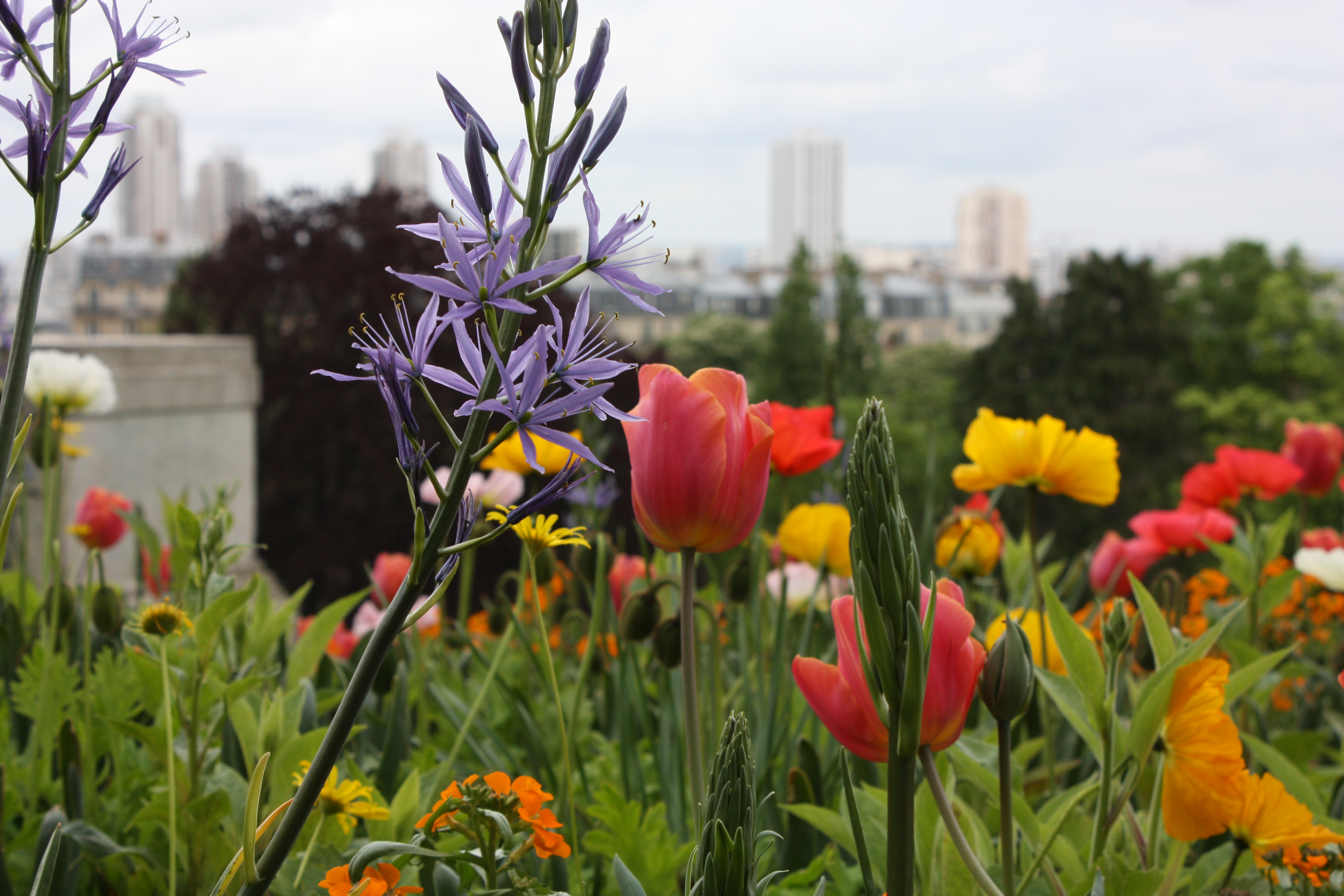 Parc de Buttes Chaumont